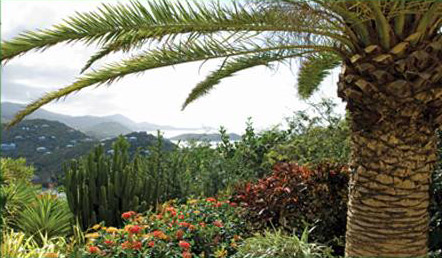 St John Luxury Villa Kismet Garden View of Caribbean