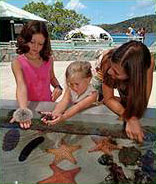 Coral World St Thomas Children Vacation Activities